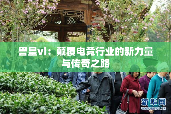 兽皇vi：颠覆电竞行业的新力量与传奇之路