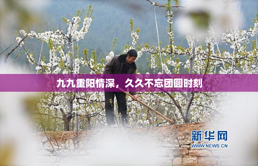 九九重阳情深，久久不忘团圆时刻