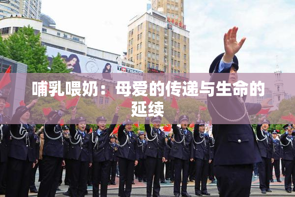哺乳喂奶：母爱的传递与生命的延续