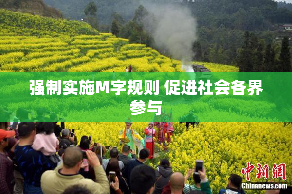 强制实施M字规则 促进社会各界参与