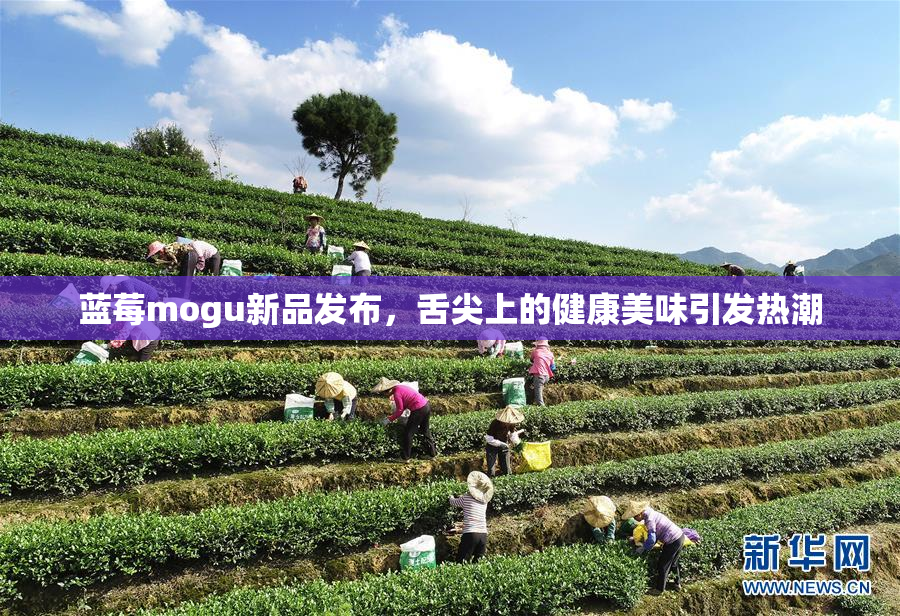 蓝莓mogu新品发布，舌尖上的健康美味引发热潮