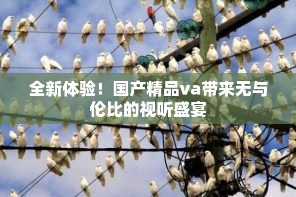 全新体验！国产精品va带来无与伦比的视听盛宴