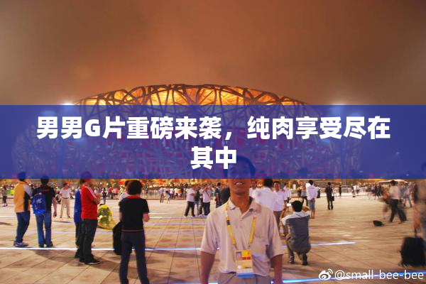 男男G片重磅来袭，纯肉享受尽在其中