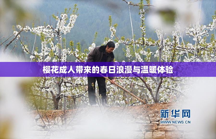 樱花成人带来的春日浪漫与温暖体验