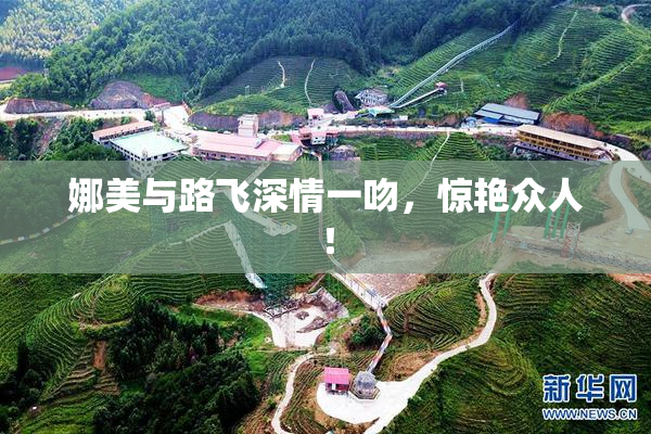 娜美与路飞深情一吻，惊艳众人！
