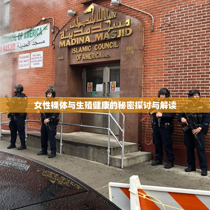 女性裸体与生殖健康的秘密探讨与解读