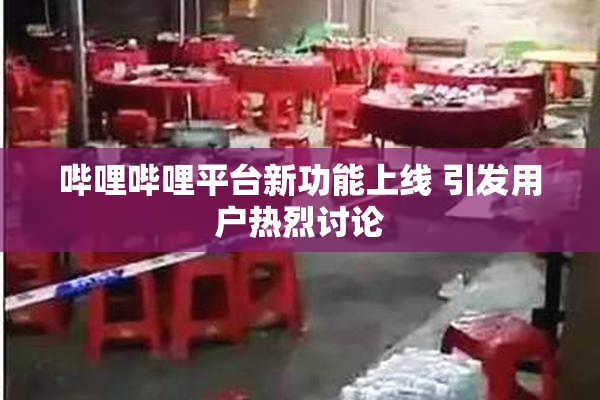 哔哩哔哩平台新功能上线 引发用户热烈讨论
