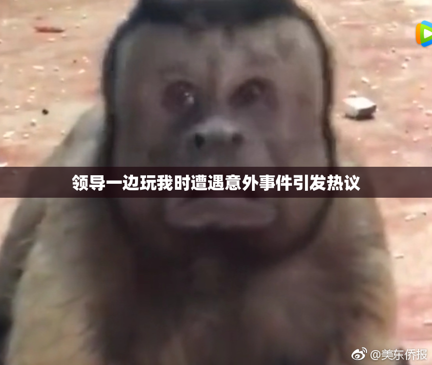 领导一边玩我时遭遇意外事件引发热议