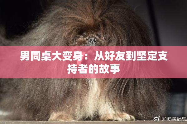 男同桌大变身：从好友到坚定支持者的故事