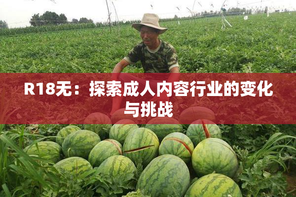 R18无：探索成人内容行业的变化与挑战