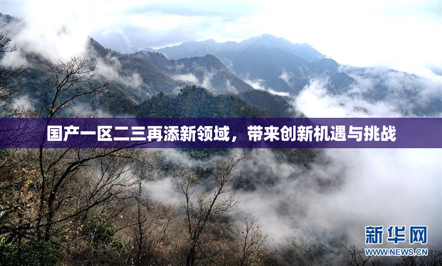 国产一区二三再添新领域，带来创新机遇与挑战