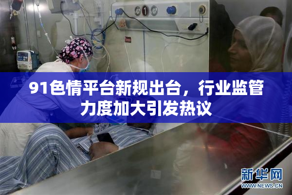 91色情平台新规出台，行业监管力度加大引发热议