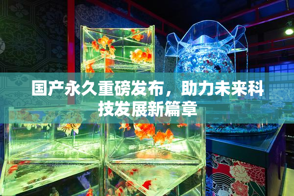 国产永久重磅发布，助力未来科技发展新篇章