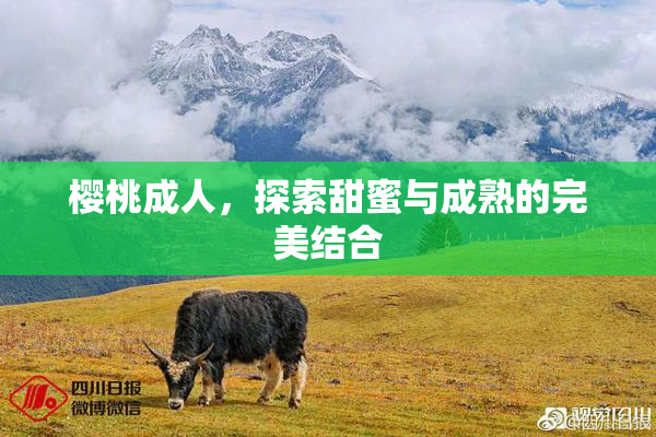 樱桃成人，探索甜蜜与成熟的完美结合
