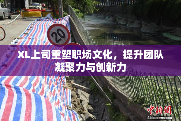 XL上司重塑职场文化，提升团队凝聚力与创新力