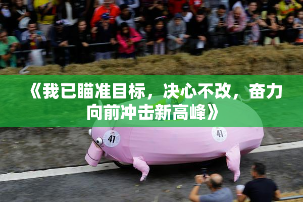 《我已瞄准目标，决心不改，奋力向前冲击新高峰》