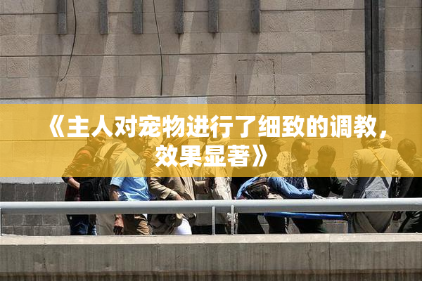 《主人对宠物进行了细致的调教，效果显著》