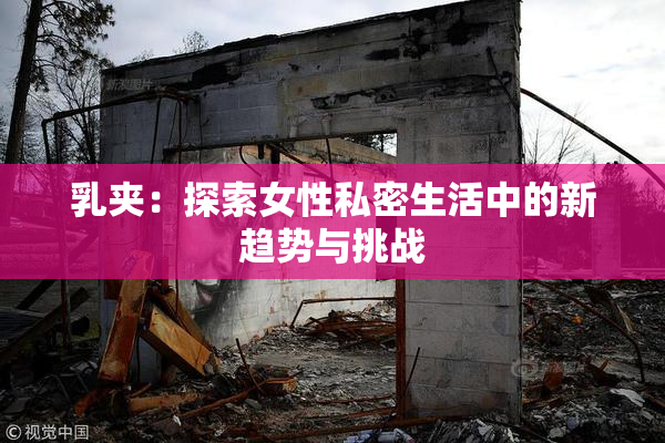 乳夹：探索女性私密生活中的新趋势与挑战