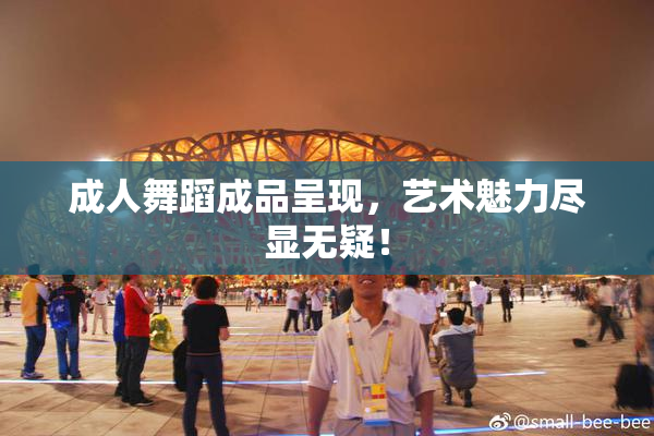 成人舞蹈成品呈现，艺术魅力尽显无疑！
