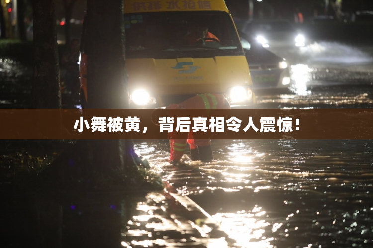 小舞被黄，背后真相令人震惊！