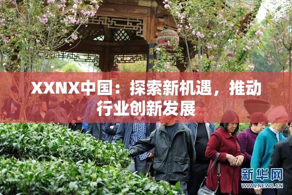 XXNX中国：探索新机遇，推动行业创新发展