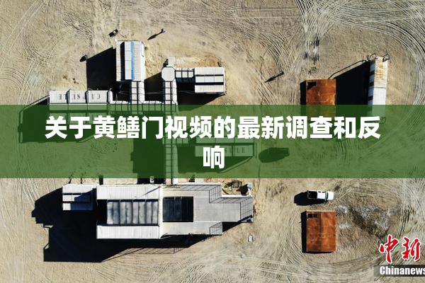关于黄鳝门视频的最新调查和反响