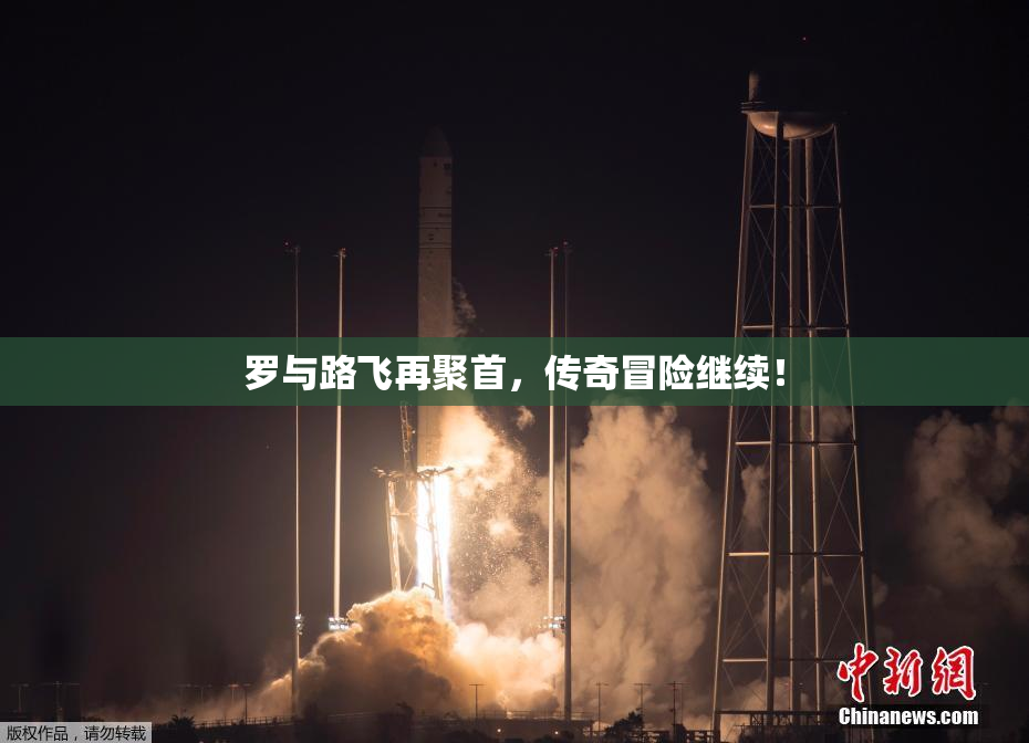 罗与路飞再聚首，传奇冒险继续！
