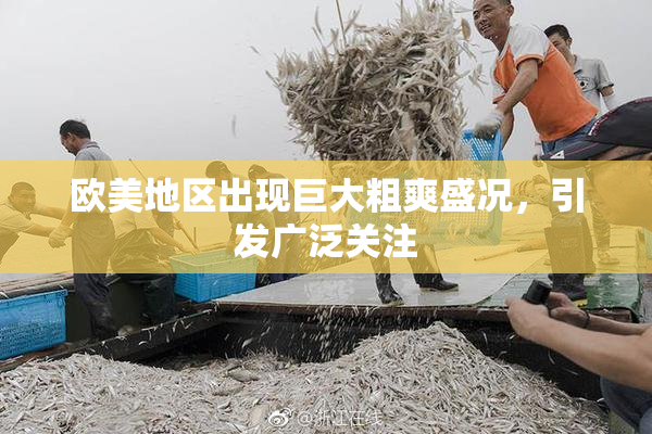 欧美地区出现巨大粗爽盛况，引发广泛关注