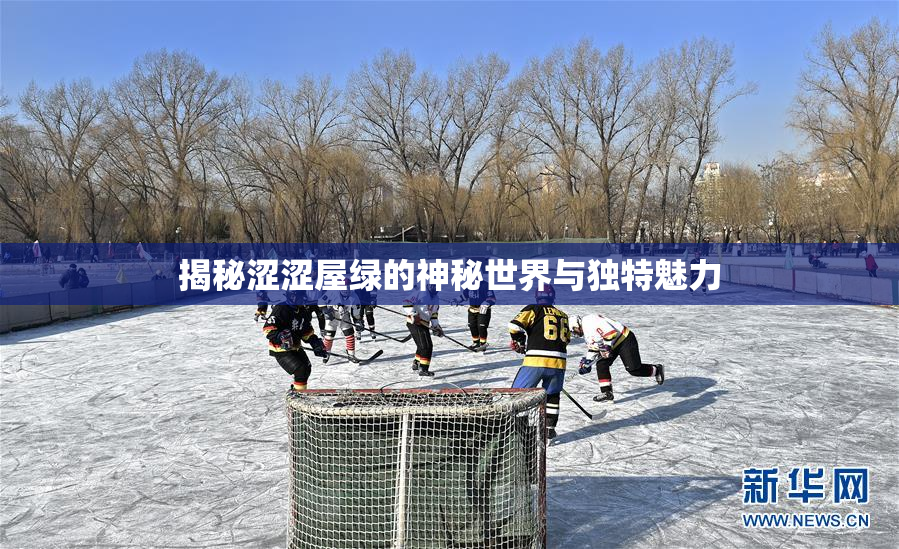 揭秘涩涩屋绿的神秘世界与独特魅力