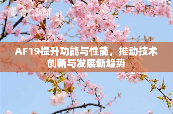 AF19提升功能与性能，推动技术创新与发展新趋势