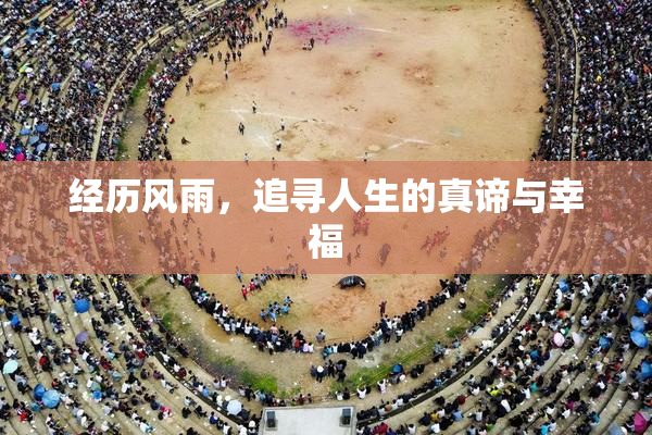 经历风雨，追寻人生的真谛与幸福