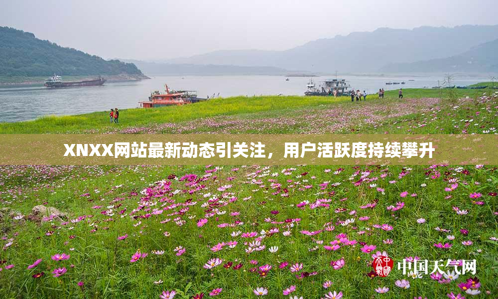 XNXX网站最新动态引关注，用户活跃度持续攀升