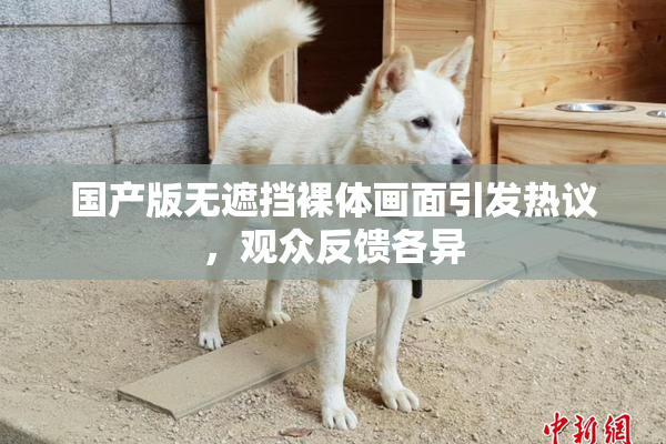 国产版无遮挡裸体画面引发热议，观众反馈各异