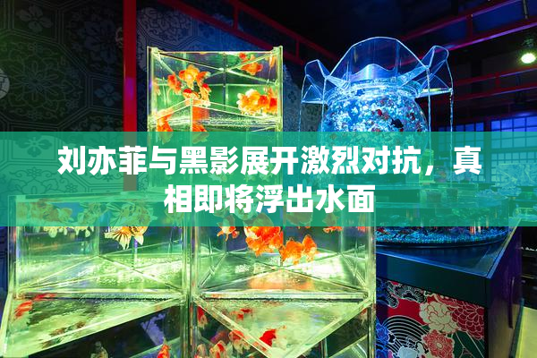 刘亦菲与黑影展开激烈对抗，真相即将浮出水面