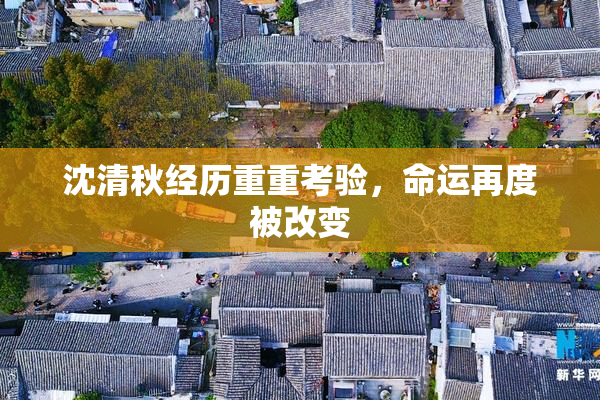 沈清秋经历重重考验，命运再度被改变