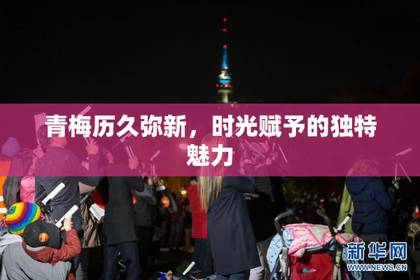 青梅历久弥新，时光赋予的独特魅力