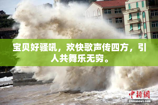 宝贝好骚吼，欢快歌声传四方，引人共舞乐无穷。