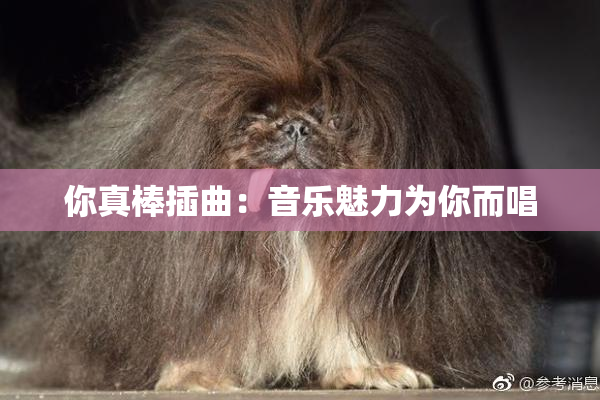 你真棒插曲：音乐魅力为你而唱
