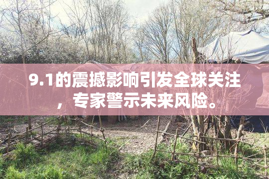 9.1的震撼影响引发全球关注，专家警示未来风险。