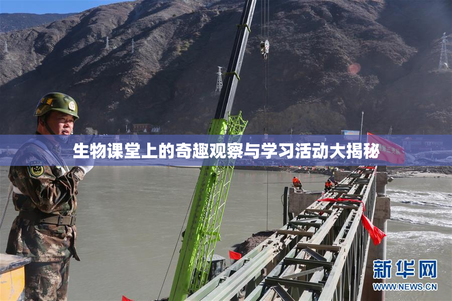 生物课堂上的奇趣观察与学习活动大揭秘