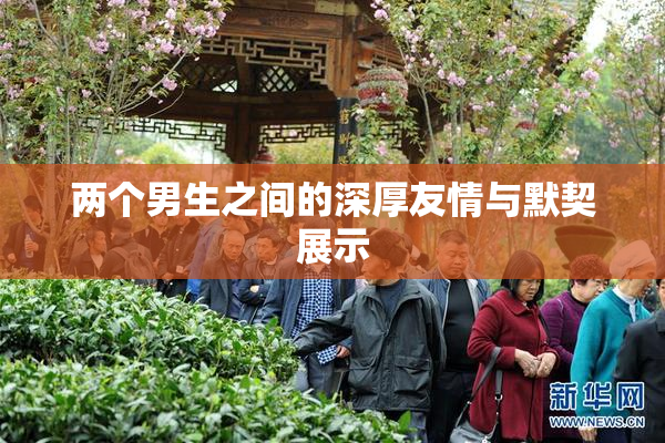 两个男生之间的深厚友情与默契展示