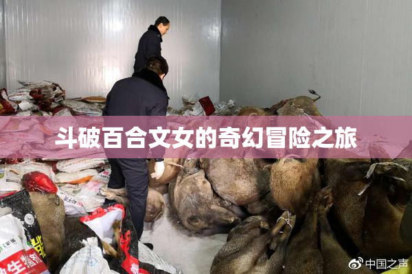 斗破百合文女的奇幻冒险之旅