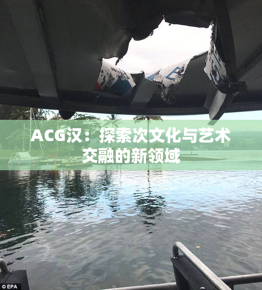 ACG汉：探索次文化与艺术交融的新领域