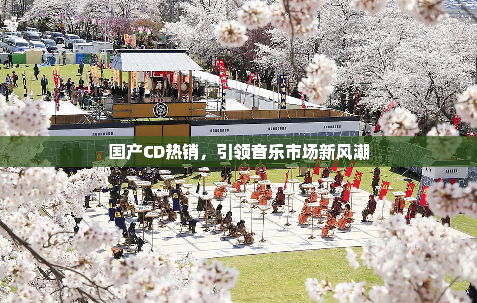 国产CD热销，引领音乐市场新风潮