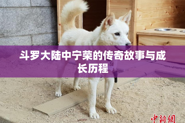 斗罗大陆中宁荣的传奇故事与成长历程