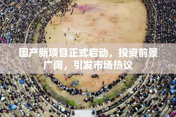 国产新项目正式启动，投资前景广阔，引发市场热议