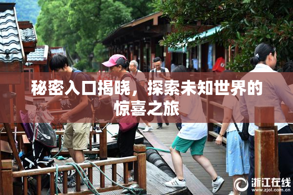 秘密入口揭晓，探索未知世界的惊喜之旅
