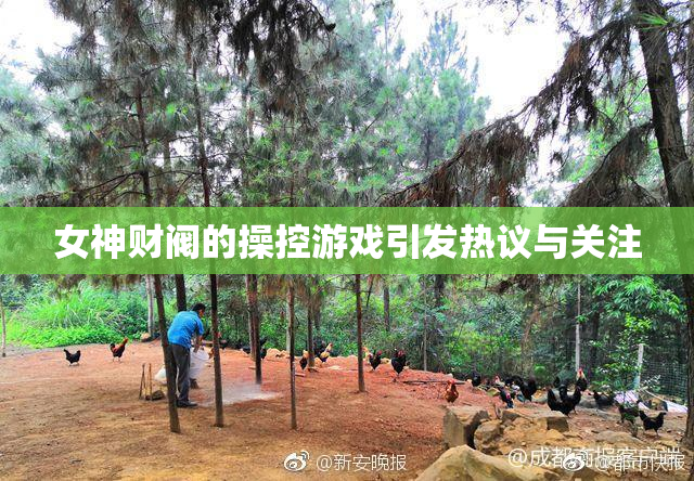 女神财阀的操控游戏引发热议与关注