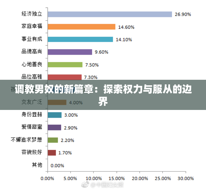 调教男奴的新篇章：探索权力与服从的边界