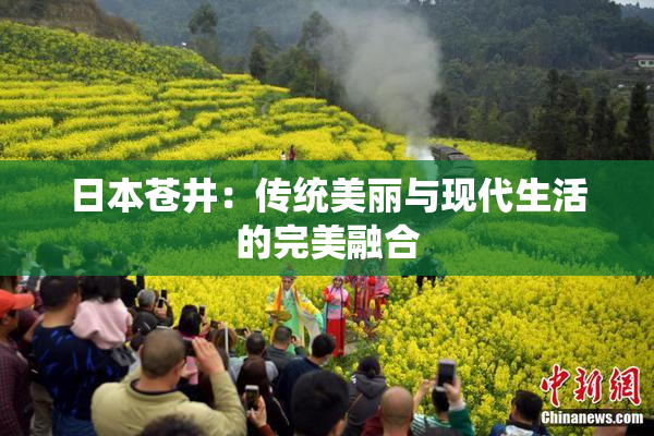 日本苍井：传统美丽与现代生活的完美融合